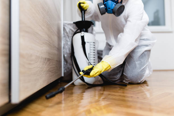 Best Local Pest Control Services  in Essex Fells, NJ
