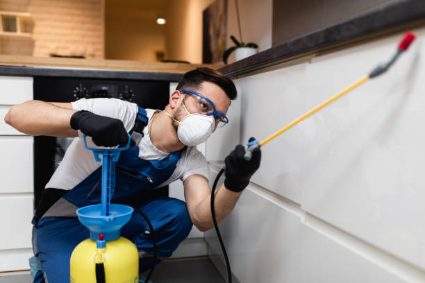 Best Cockroach Control Services  in Essex Fells, NJ