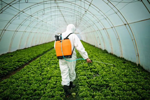 Best Commercial Pest Control Services  in Essex Fells, NJ
