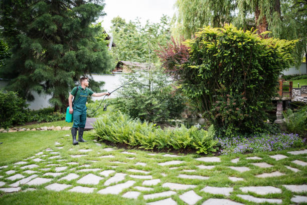 Best Residential Pest Control  in Essex Fells, NJ