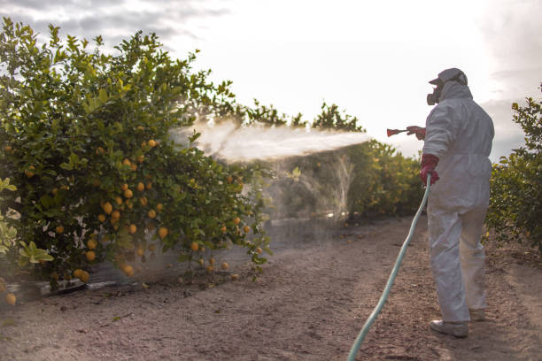 Best Affordable Pest Control Services  in Essex Fells, NJ
