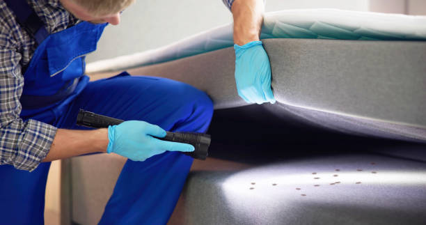 Best Rat Extermination Near Me  in Essex Fells, NJ