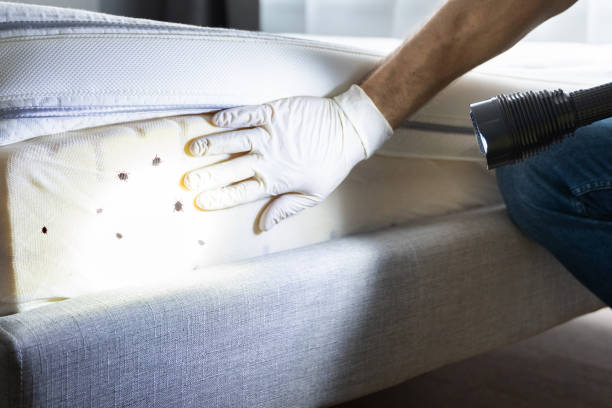 Best Wildlife Control Services  in Essex Fells, NJ