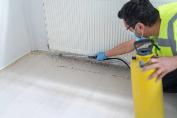 Best Affordable Pest Control Services  in Essex Fells, NJ